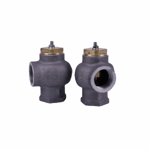 Купить Клапан минимального давления G36-1 1/4" 220.2203.0580