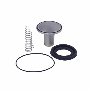 Купить Ремонтный комплект клапана минимального давления G55R 220.1460